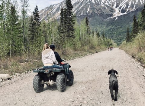 1CA477F1-3735-45FB-85A3-D889BDCCD713_1_105_c